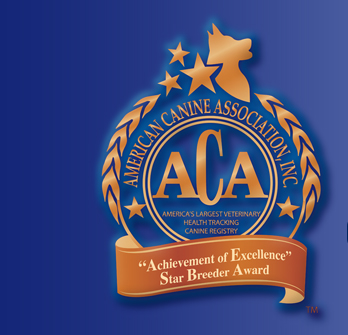 Starbreeder_00.jpg, American Canine Association, Star Breeder, Program, aca star breeders, top dog, topdog, star breeder qualifications, Dog, breeder, pup, puppies, kennel, ACA, AKC, APR, breeding, litter 