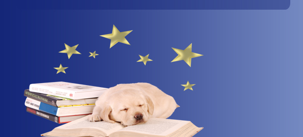 Starbreeder_30.jpg, American Canine Association, Star Breeder, Program, aca star breeders, top dog, topdog, star breeder qualifications, Dog, breeder, pup, puppies, kennel, ACA, AKC, APR, breeding, litter 