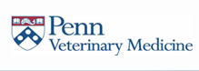 Starbreeder_44.jpg, American Canine Association, Star Breeder, Program, aca star breeders, top dog, topdog, star breeder qualifications, Dog, breeder, pup, puppies, kennel, ACA, AKC, APR, breeding, litter 